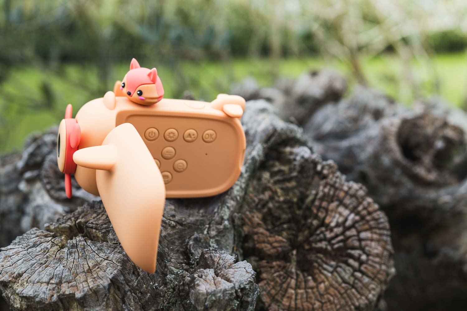 Cámara de vídeo Zoo - Zorro