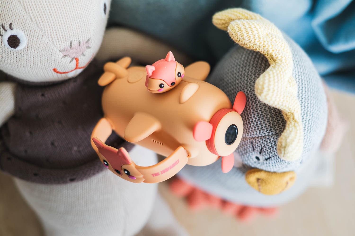 Cámara de vídeo Zoo - Zorro