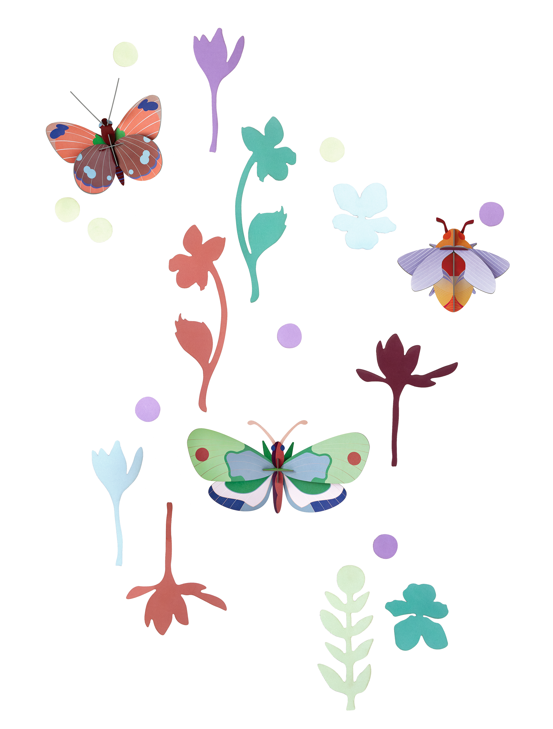 Mundo de curiosidades -Mariposas