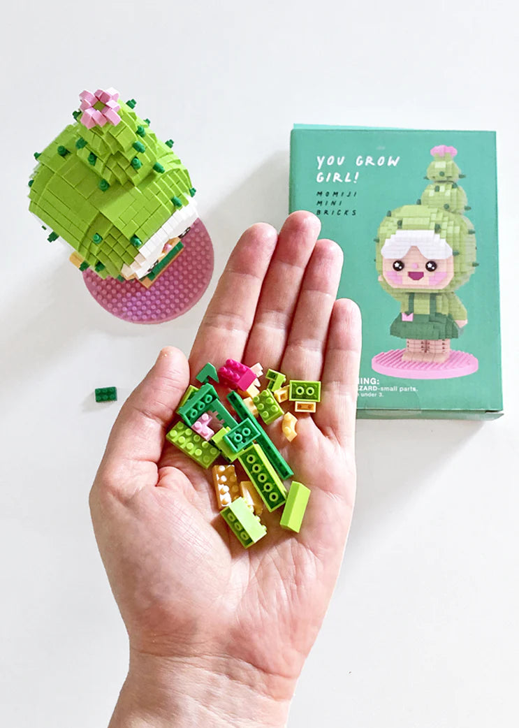 Mini Bricks - You Grow Girl - Cactus (897 pcs)