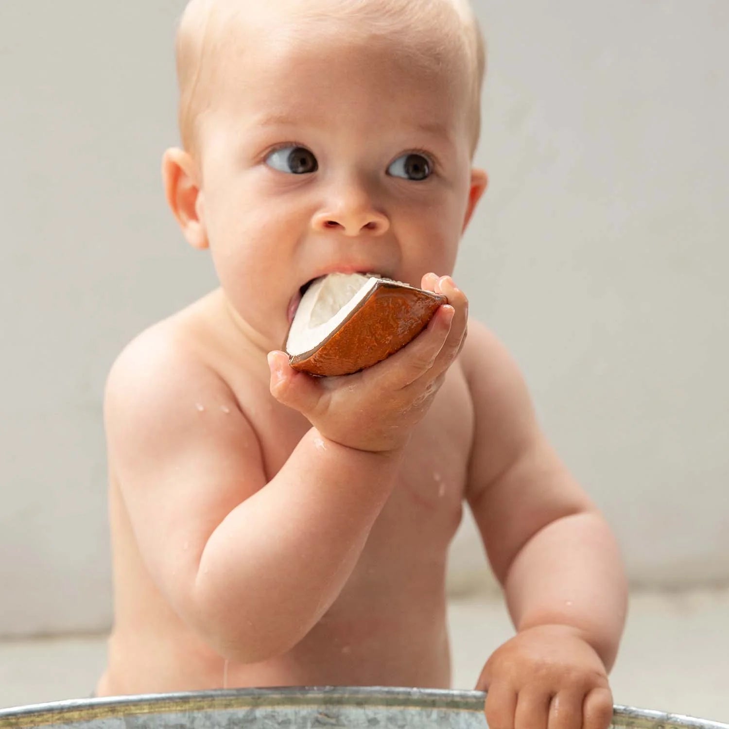 Coco - Coco the coconut