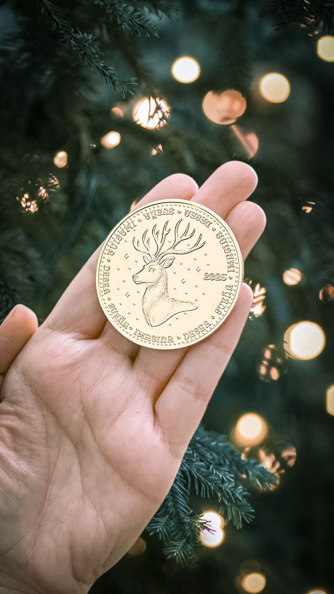 La Moneda solidaria más Mágica - Papá Noel