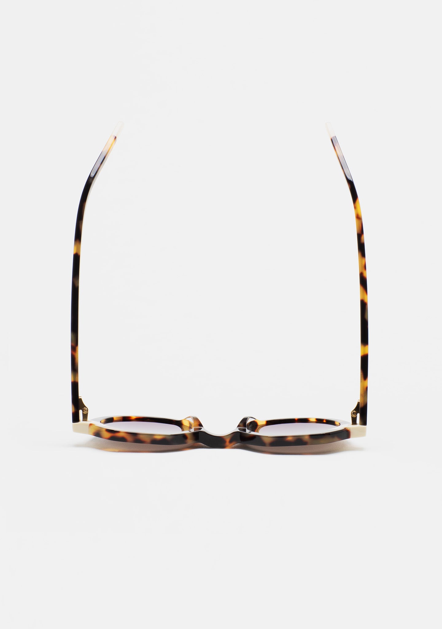 Gafas de niños - EVERS - Havana Marrón + Blanco