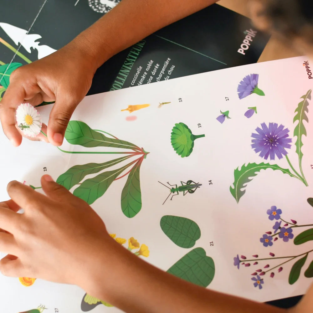 Poster XXL + 72 pegatinas - Botanica