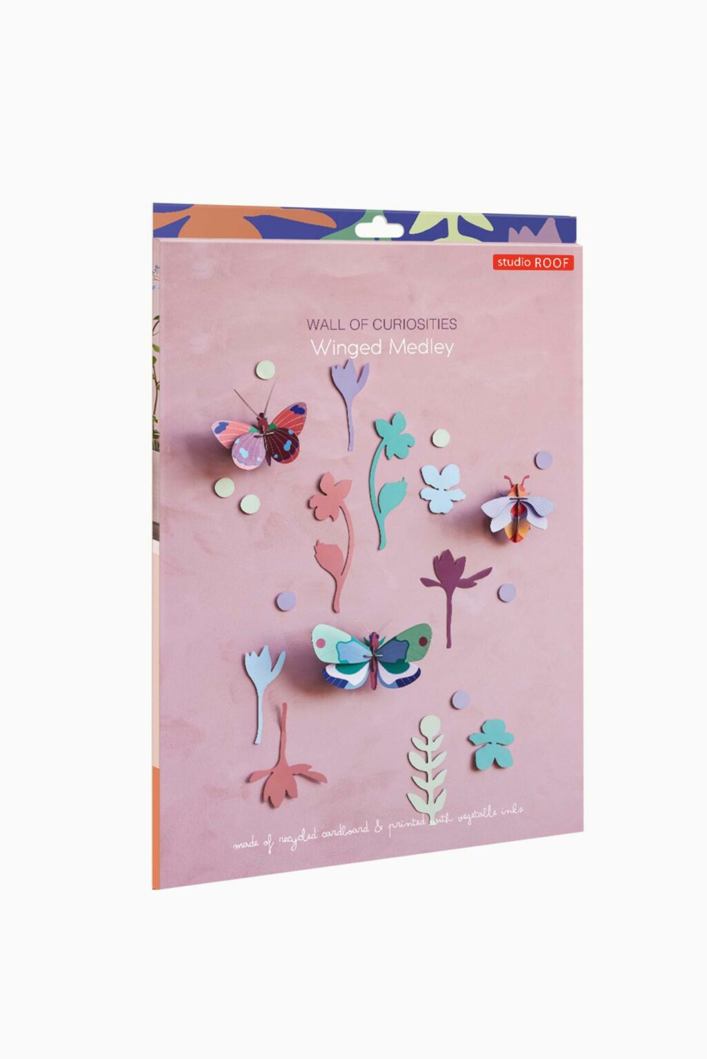 Mundo de curiosidades -Mariposas