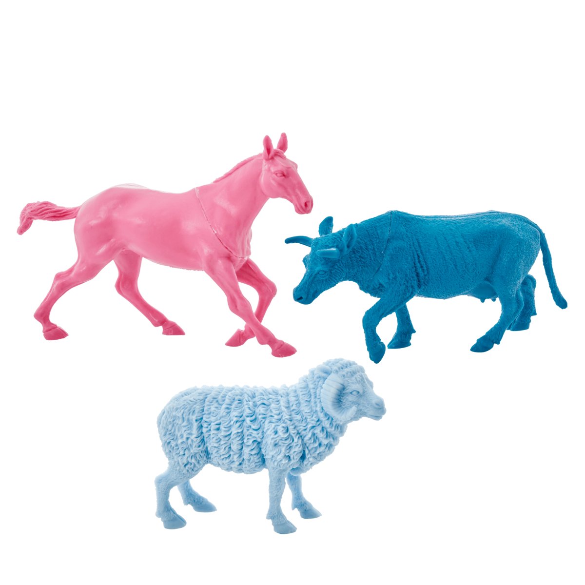 Animales - Casa de Fieras
