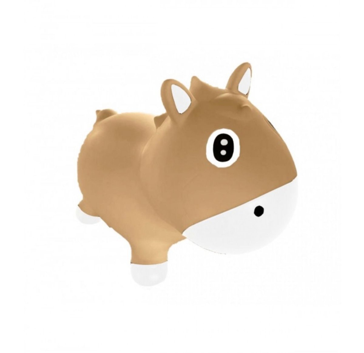 Caballito saltimbanqui - Casa de Fieras