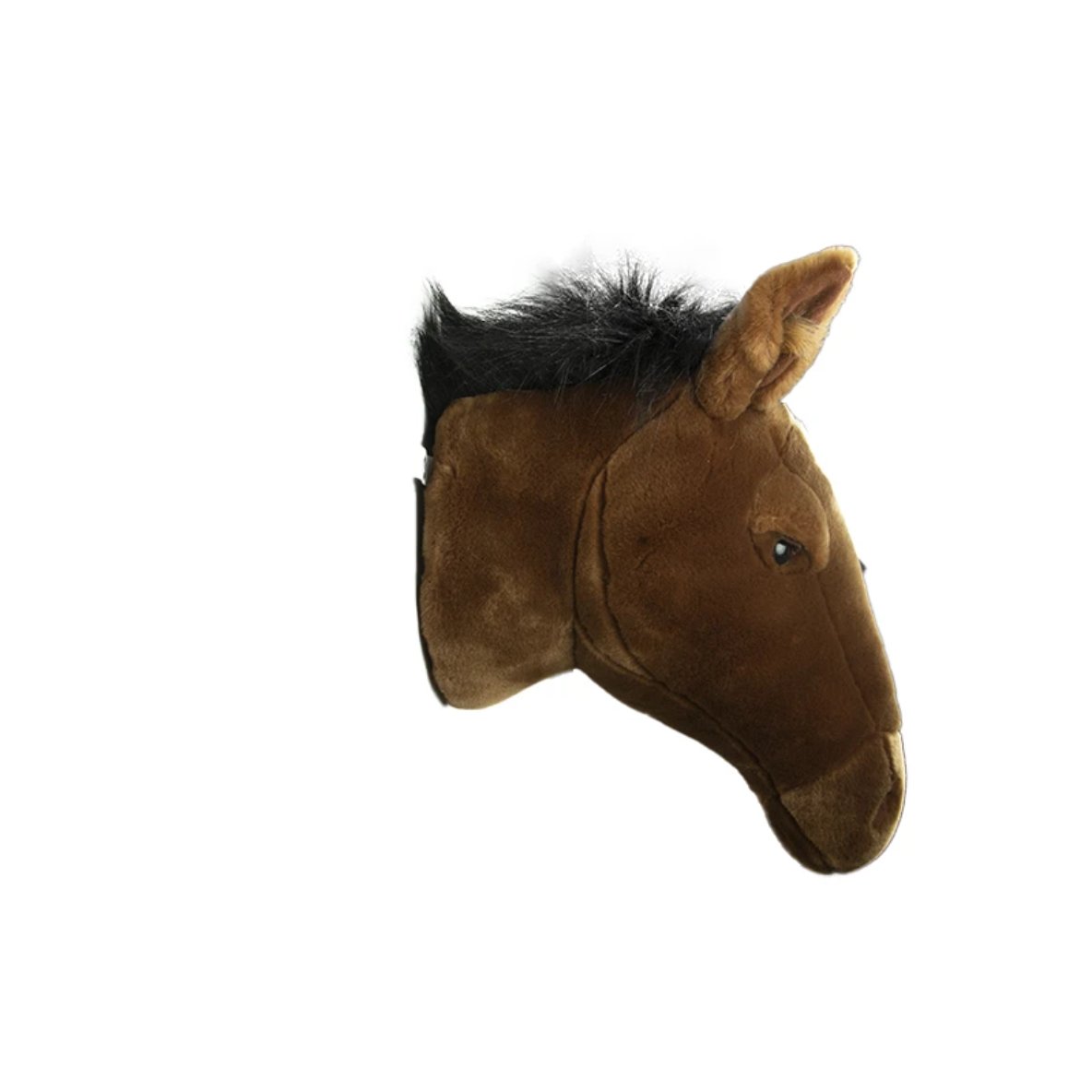Cabeza - Caballo - Casa de Fieras