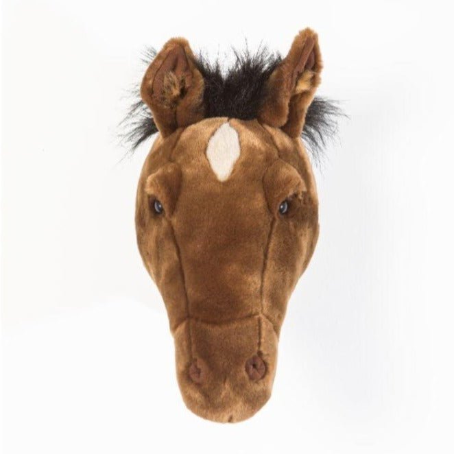 Cabeza - Caballo - Casa de Fieras