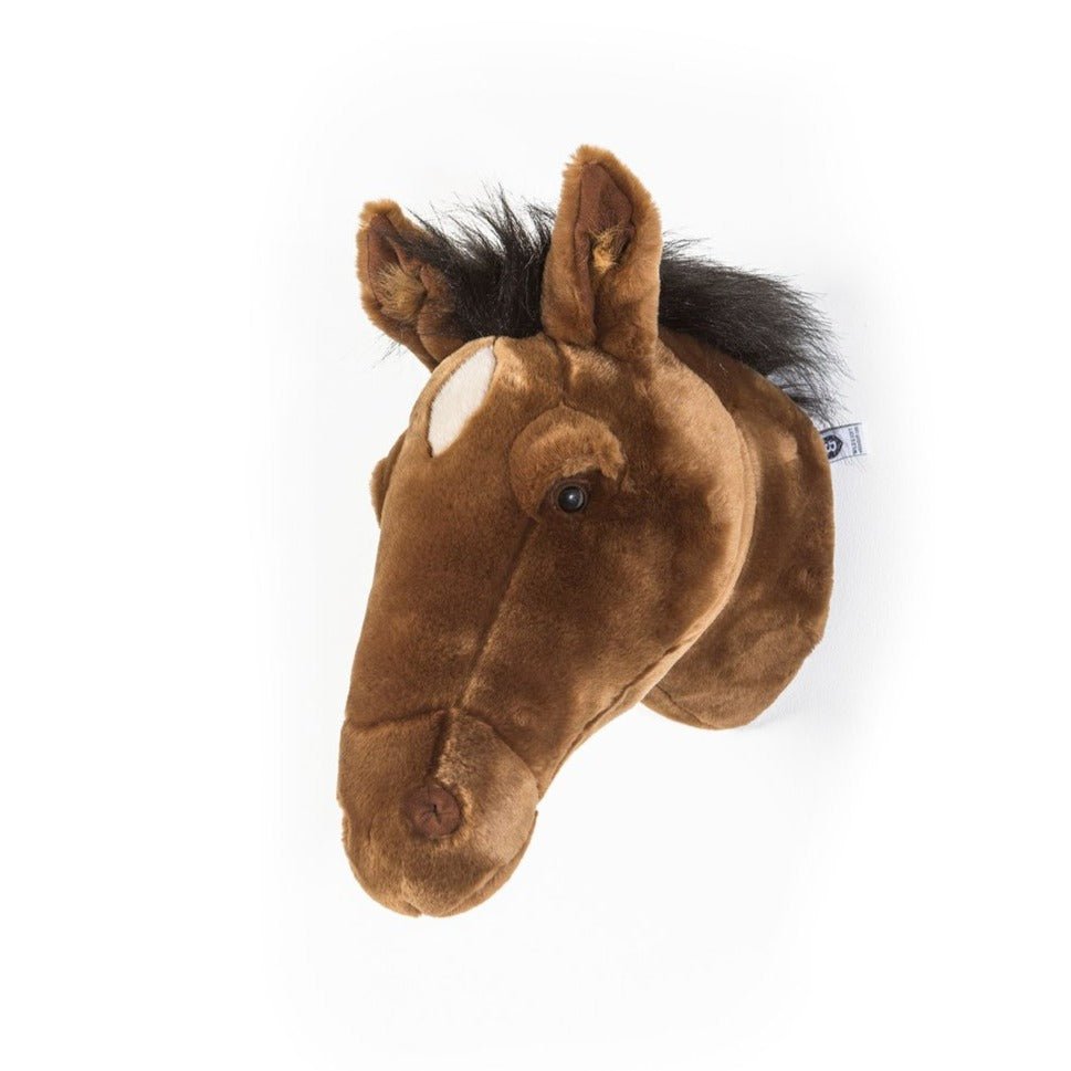 Cabeza - Caballo - Casa de Fieras