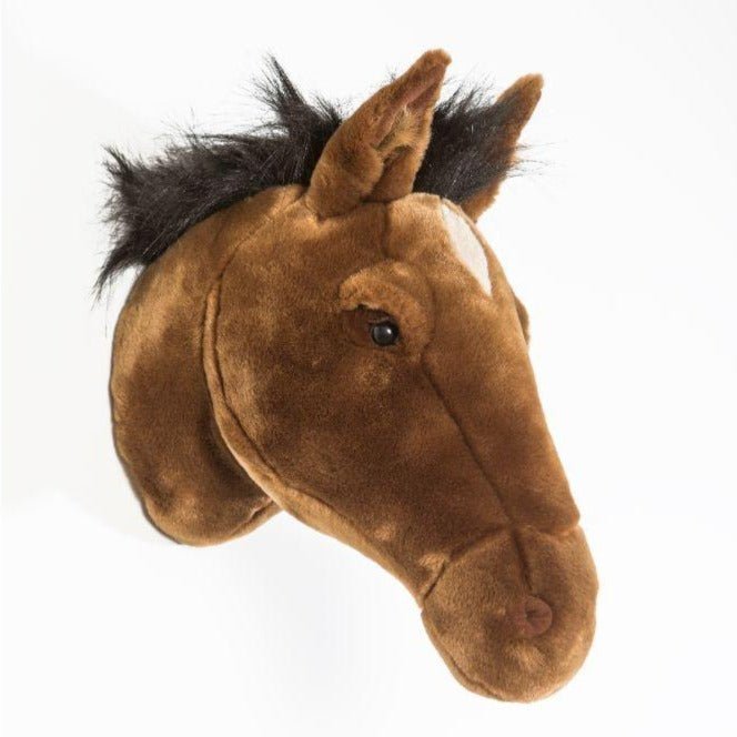Cabeza - Caballo - Casa de Fieras
