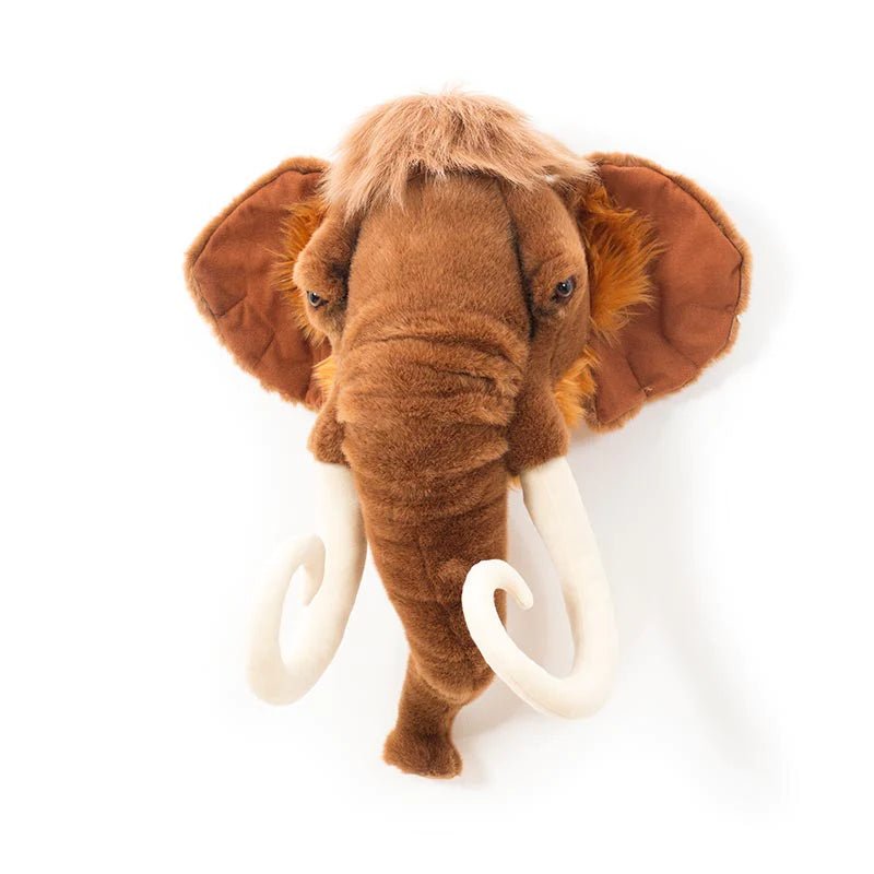 Cabeza - Mamut - Casa de Fieras