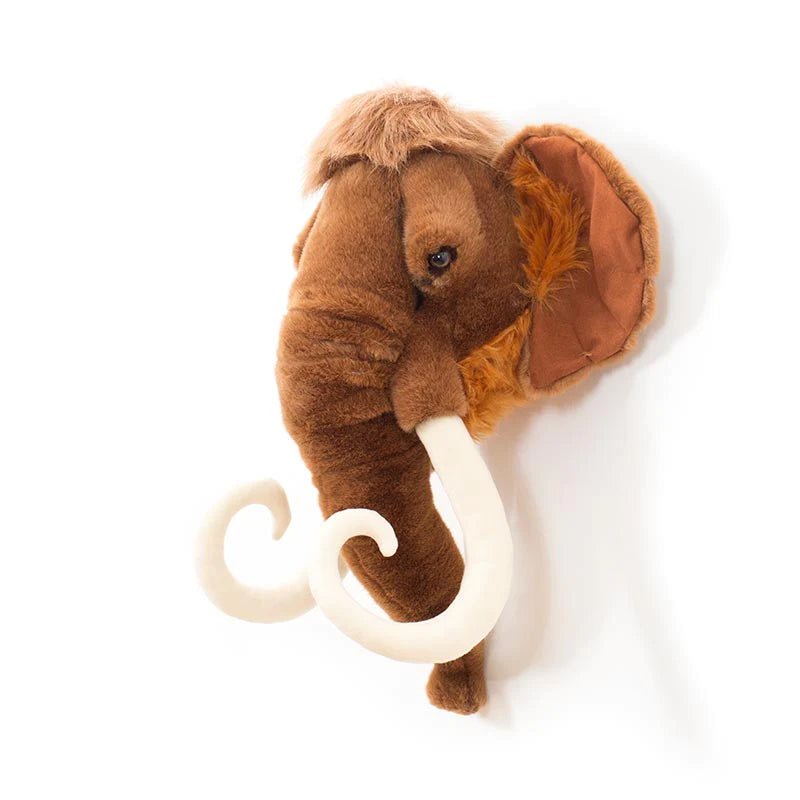 Cabeza - Mamut - Casa de Fieras