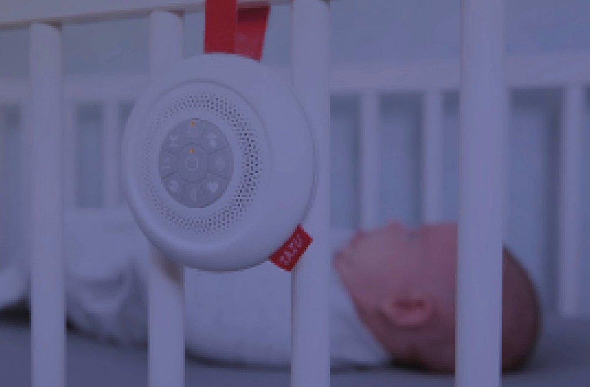 Calma Bebés - Casa de Fieras