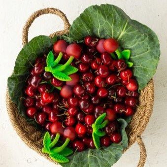 Cereza - Mery the Cherry - Casa de Fieras