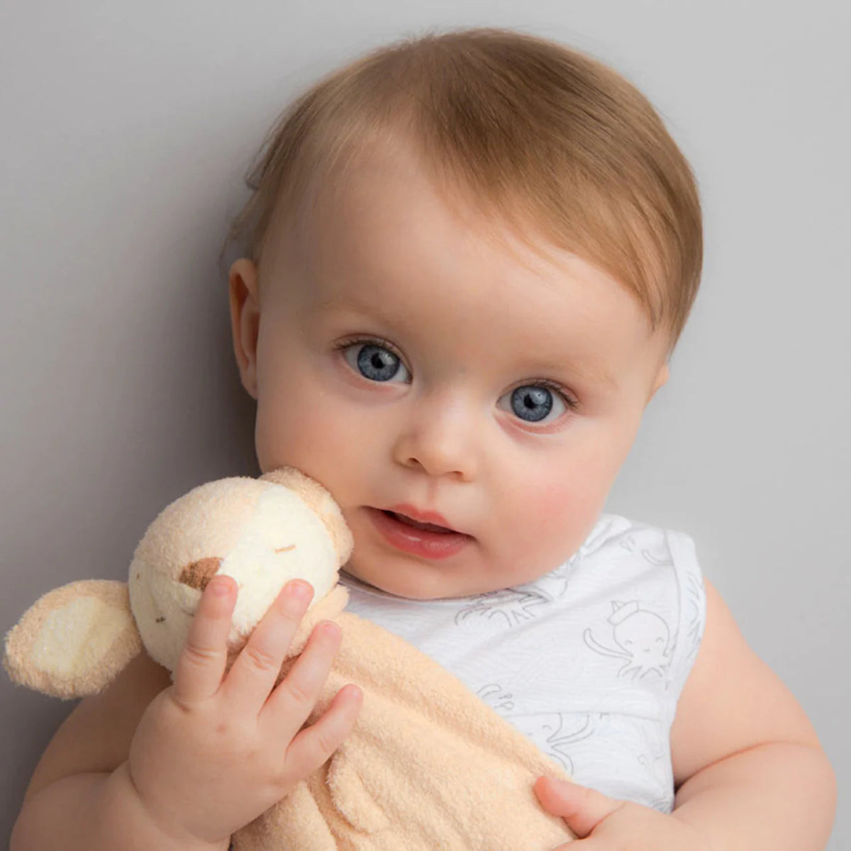 Ciervo - Casa de Fieras