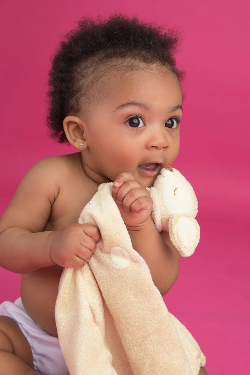 Ciervo - Casa de Fieras