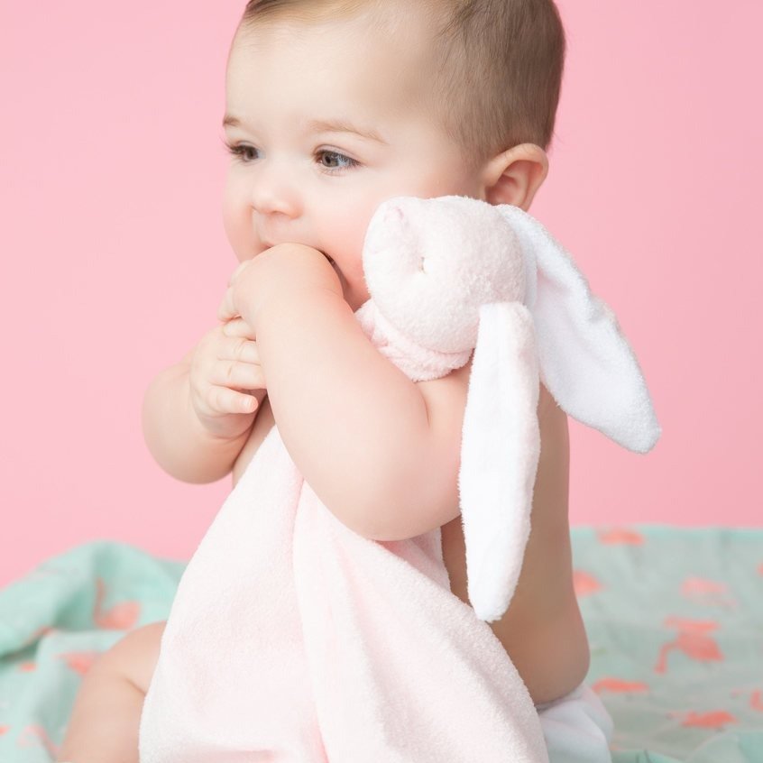 Conejo (rosa talco) - Casa de Fieras