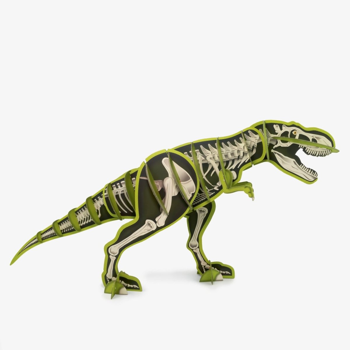 Dinosaurio con esqueleto - Casa de Fieras
