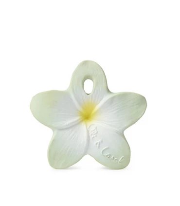 Flor de Hawai menta - Mini mordedor - Casa de Fieras