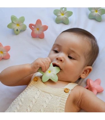 Flor de Hawai menta - Mini mordedor - Casa de Fieras