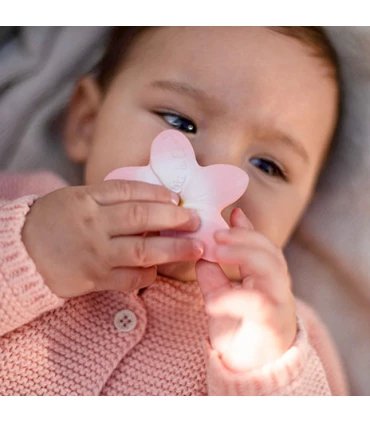 Flor de Hawai Rosa - Mini mordedor - Casa de Fieras