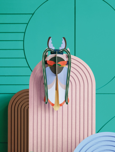 Escarabajo Del Cosmos