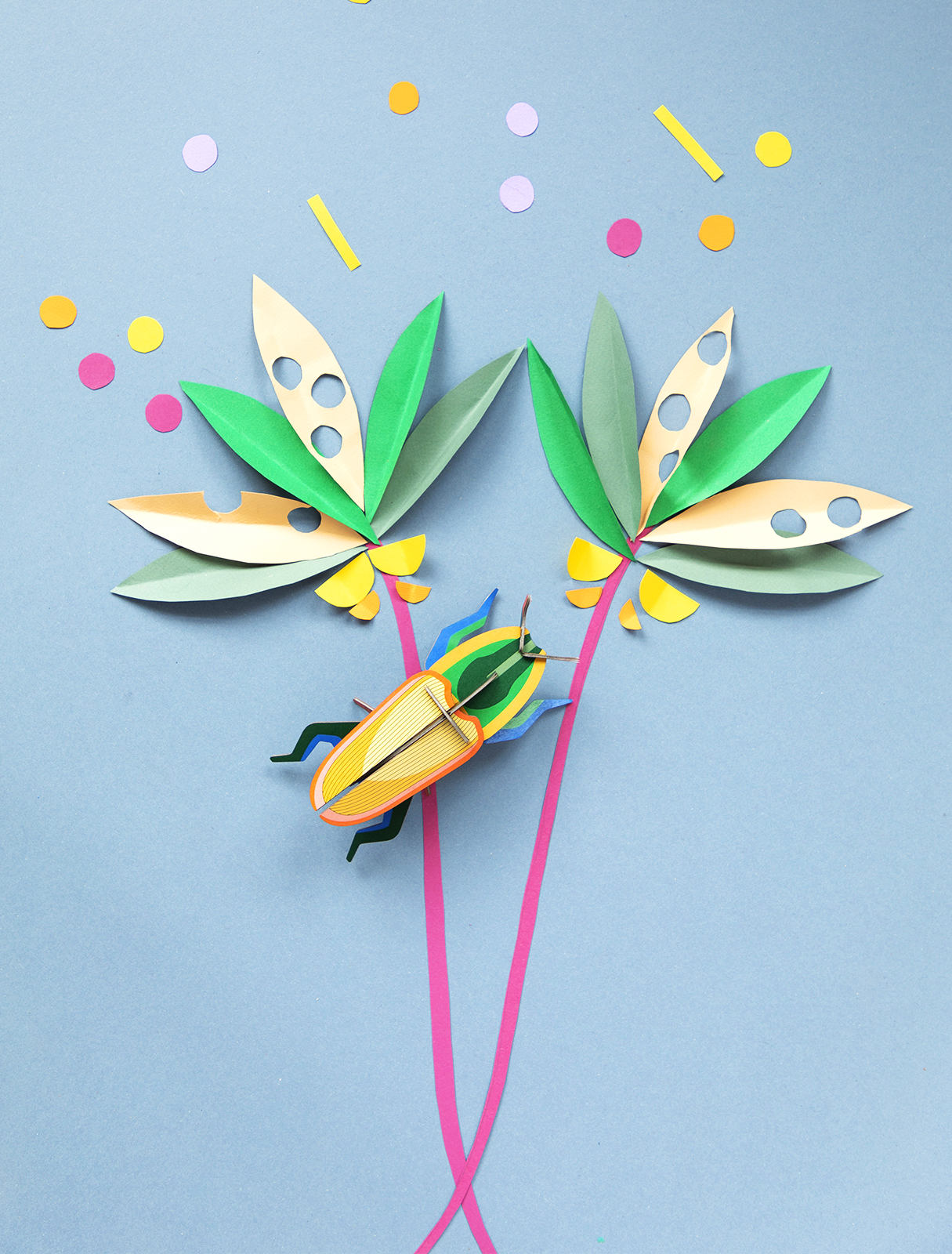 Escarabajo de Madagascar