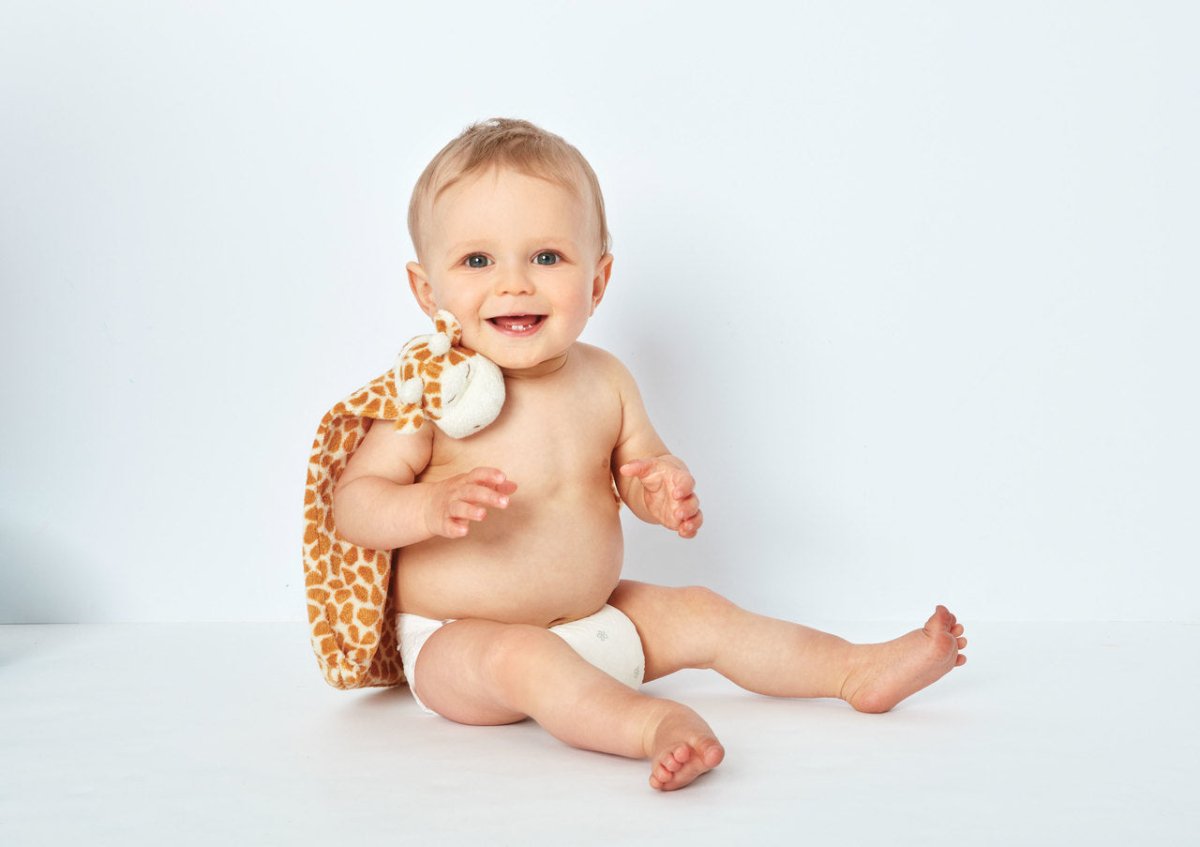 Jirafa - Casa de Fieras