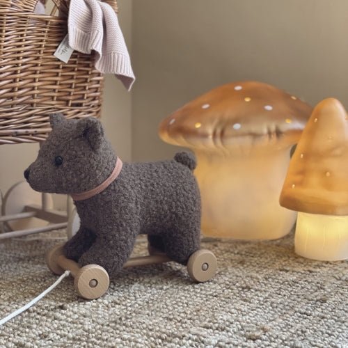 Juguete de arrastrar - Raoul - Casa de Fieras