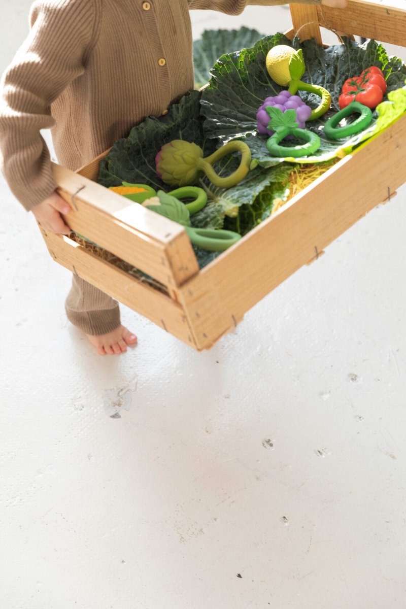 Limón (mordedor + sonajero natural) - Casa de Fieras