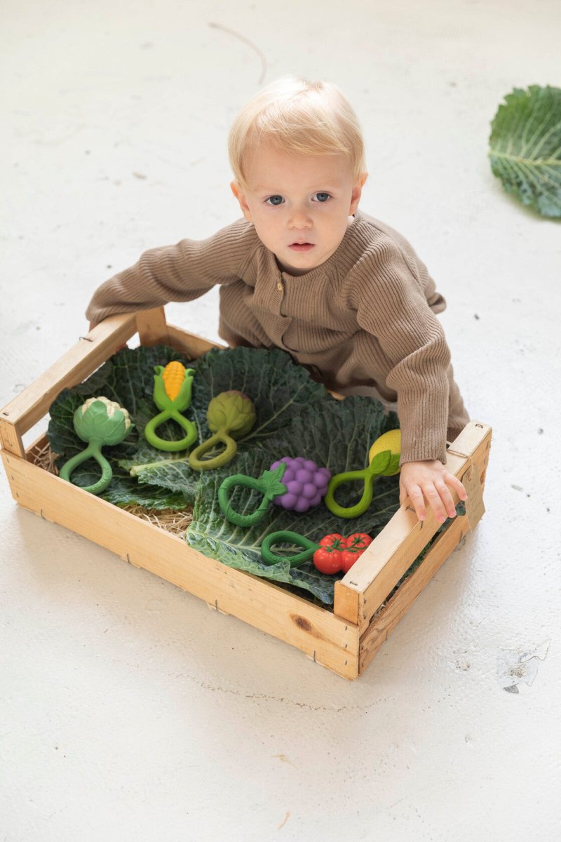 Limón (mordedor + sonajero natural) - Casa de Fieras