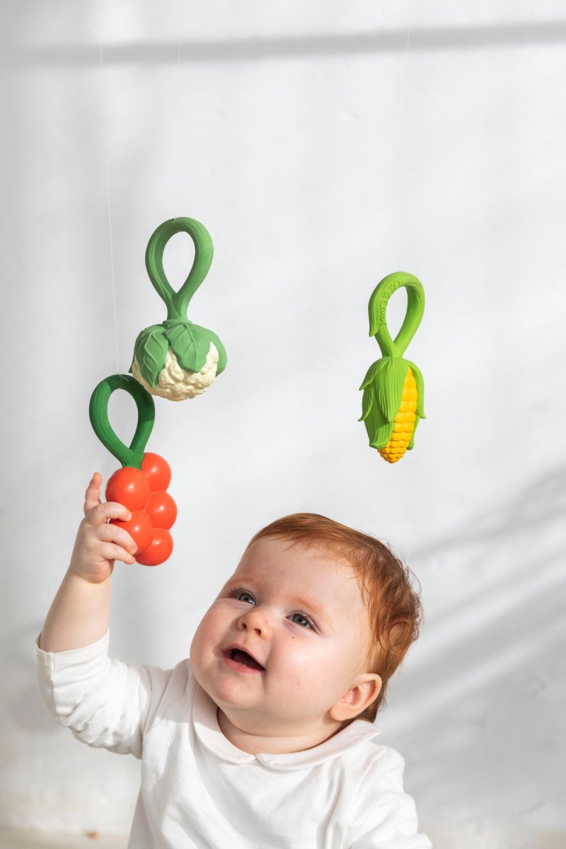 Limón (mordedor + sonajero natural) - Casa de Fieras