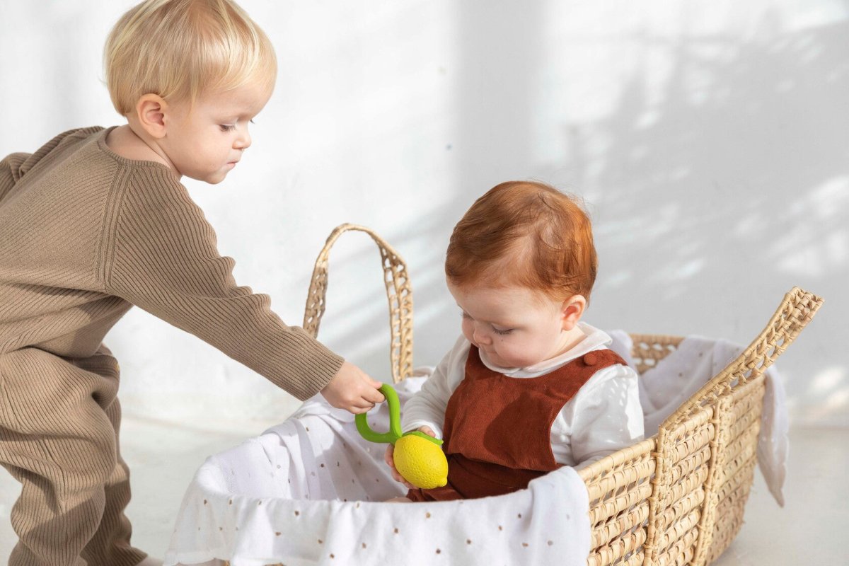 Limón (mordedor + sonajero natural) - Casa de Fieras