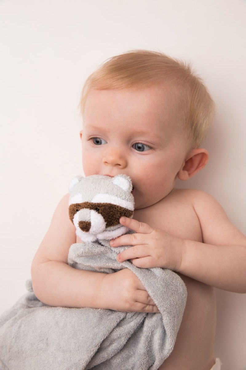 Mapache - Casa de Fieras