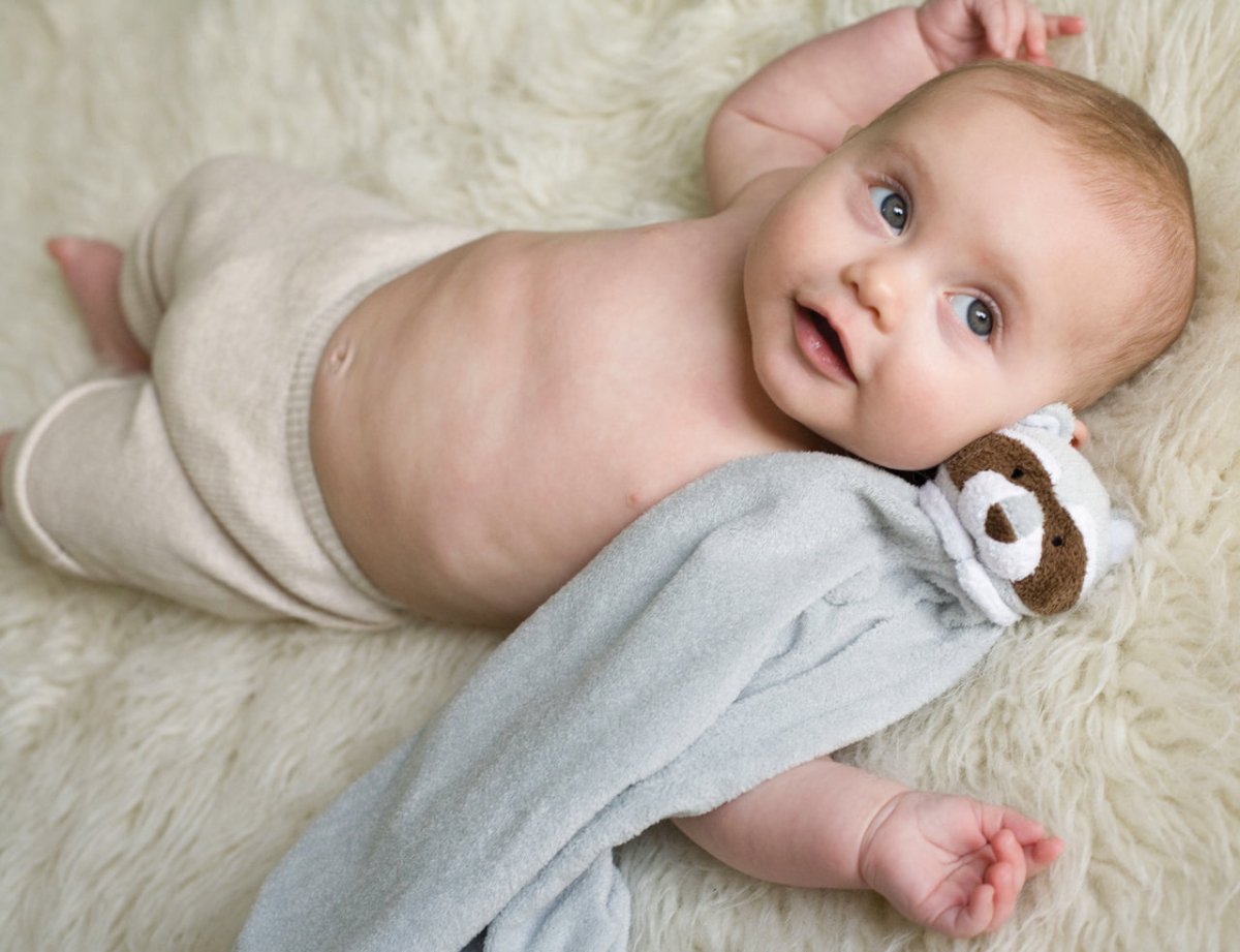 Mapache - Casa de Fieras