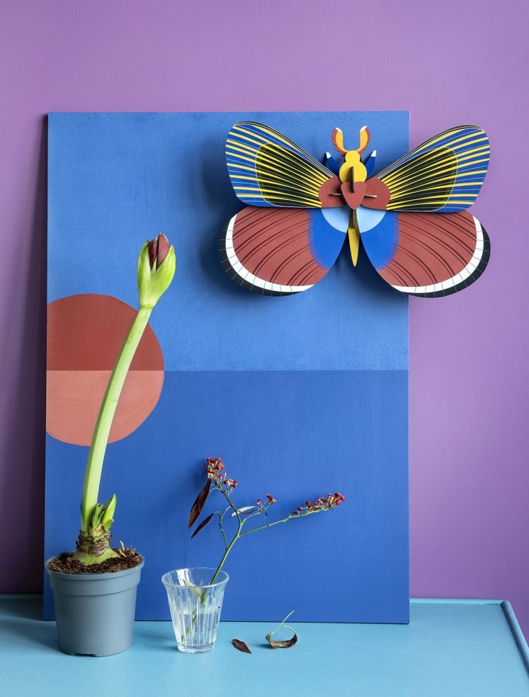 Mariposa - Casa de Fieras