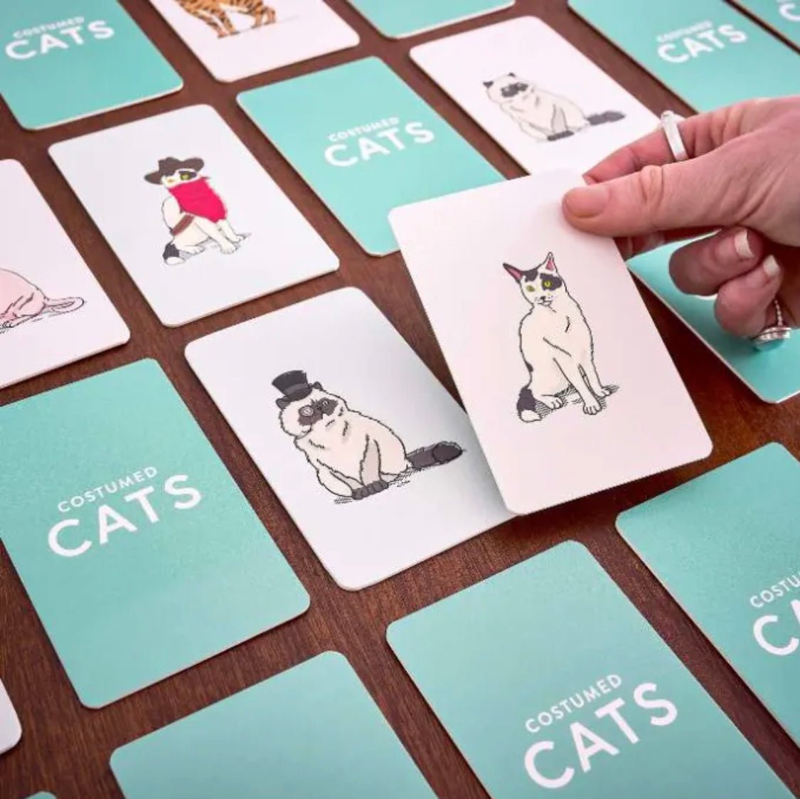 Memory - Gatos - Casa de Fieras