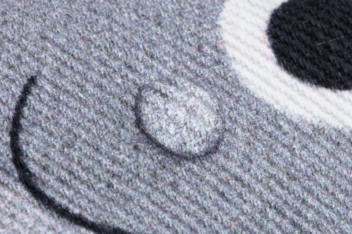 Monedero - Pez volador - Casa de Fieras