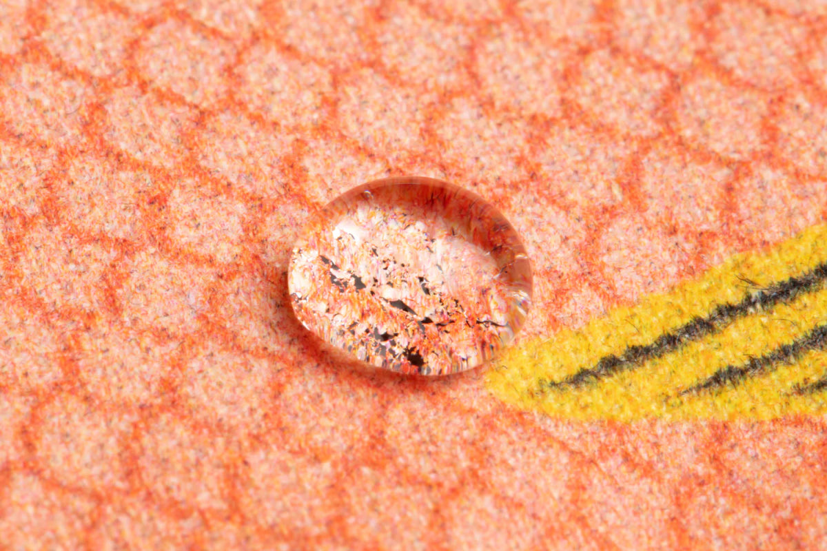 Monedero - Señorita - Casa de Fieras