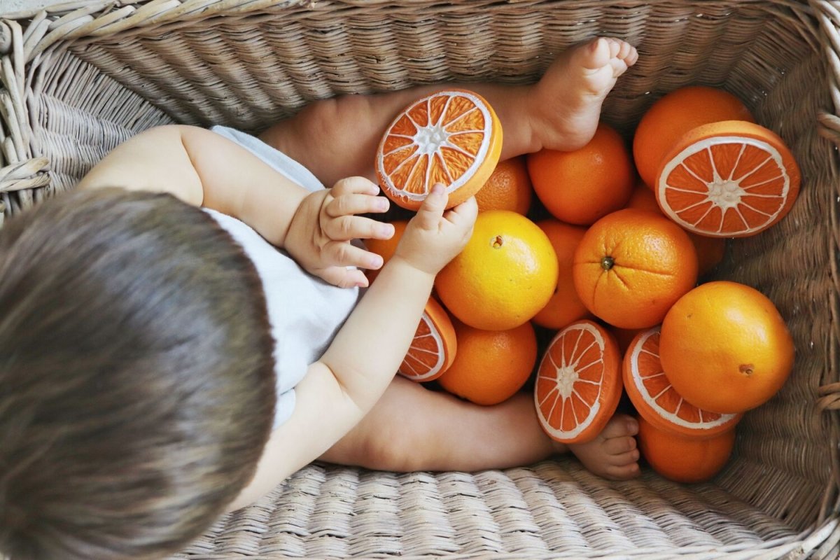 Naranja - Clementino the Orange - Casa de Fieras