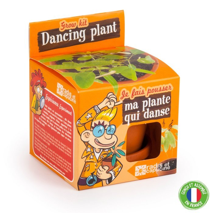 Planta que baila al son de la música - Casa de Fieras