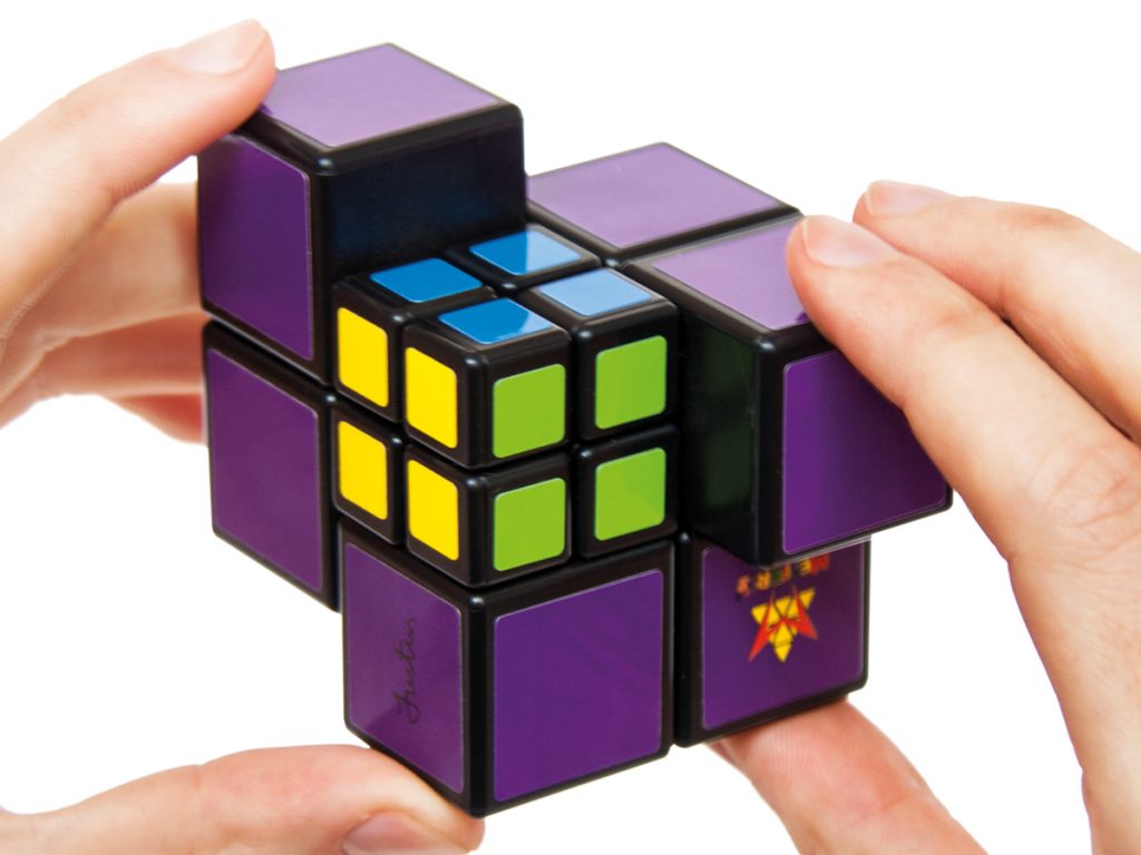 Pocket Cube - Casa de Fieras