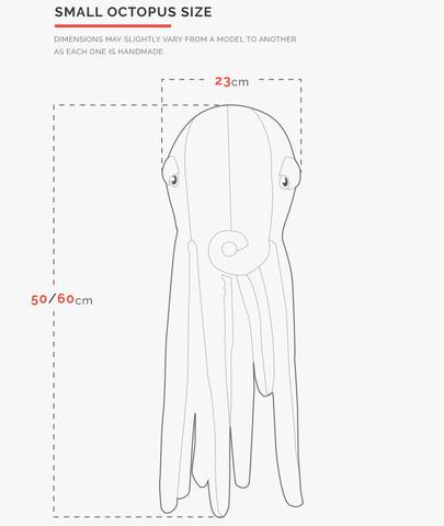 Pulpo (Pequeño) - Albino - Casa de Fieras