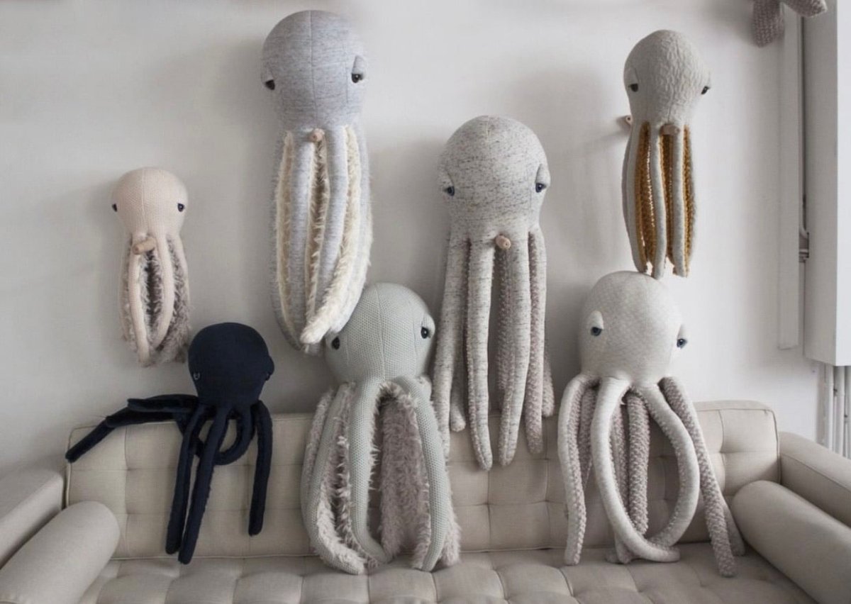 Pulpo (Pequeño) - Albino - Casa de Fieras