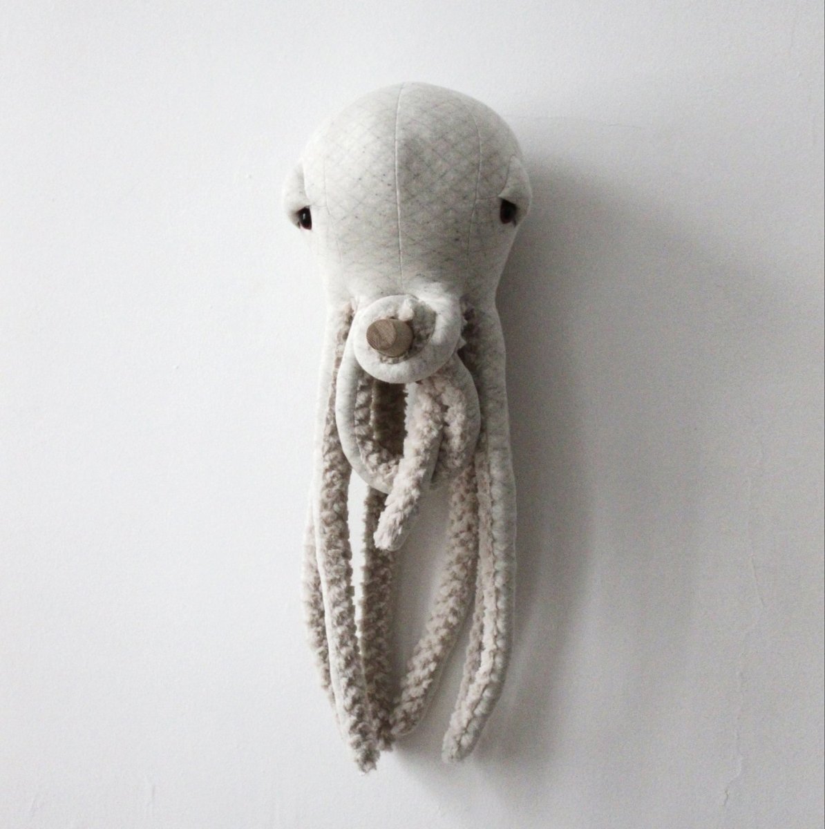 Pulpo (Pequeño) - Albino - Casa de Fieras