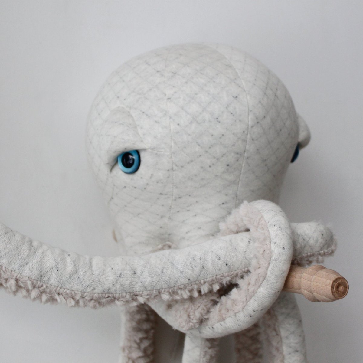Pulpo (Pequeño) - Albino - Casa de Fieras