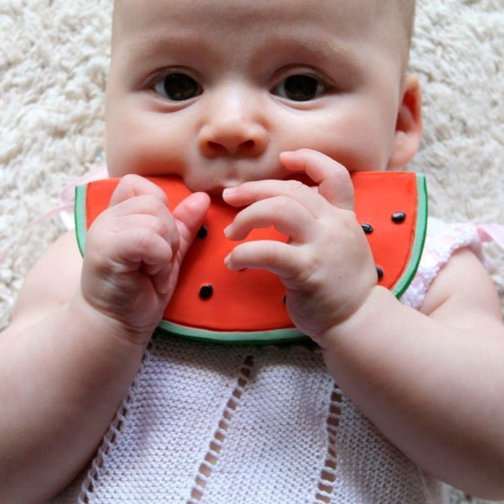 Sandía - Wally the Watermelon - Casa de Fieras