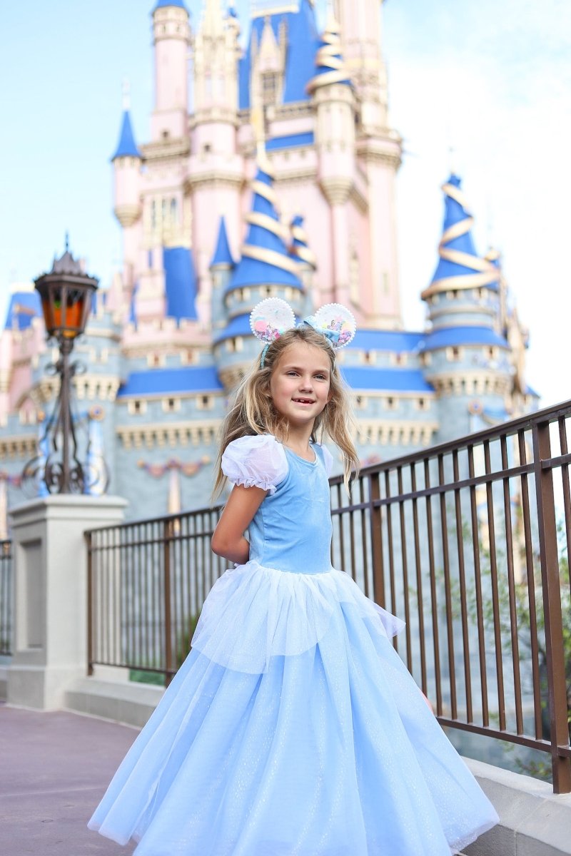 Vestido Princesa - Cenicienta - Casa de Fieras