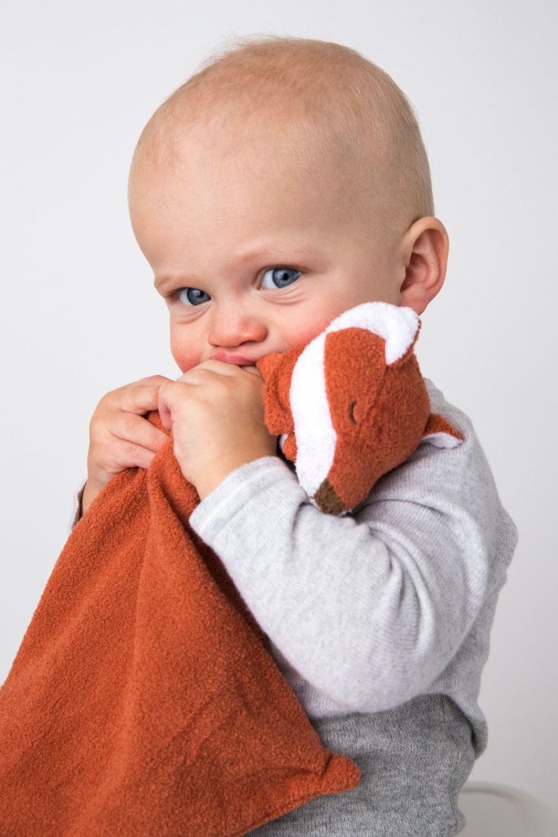 Zorro - Casa de Fieras